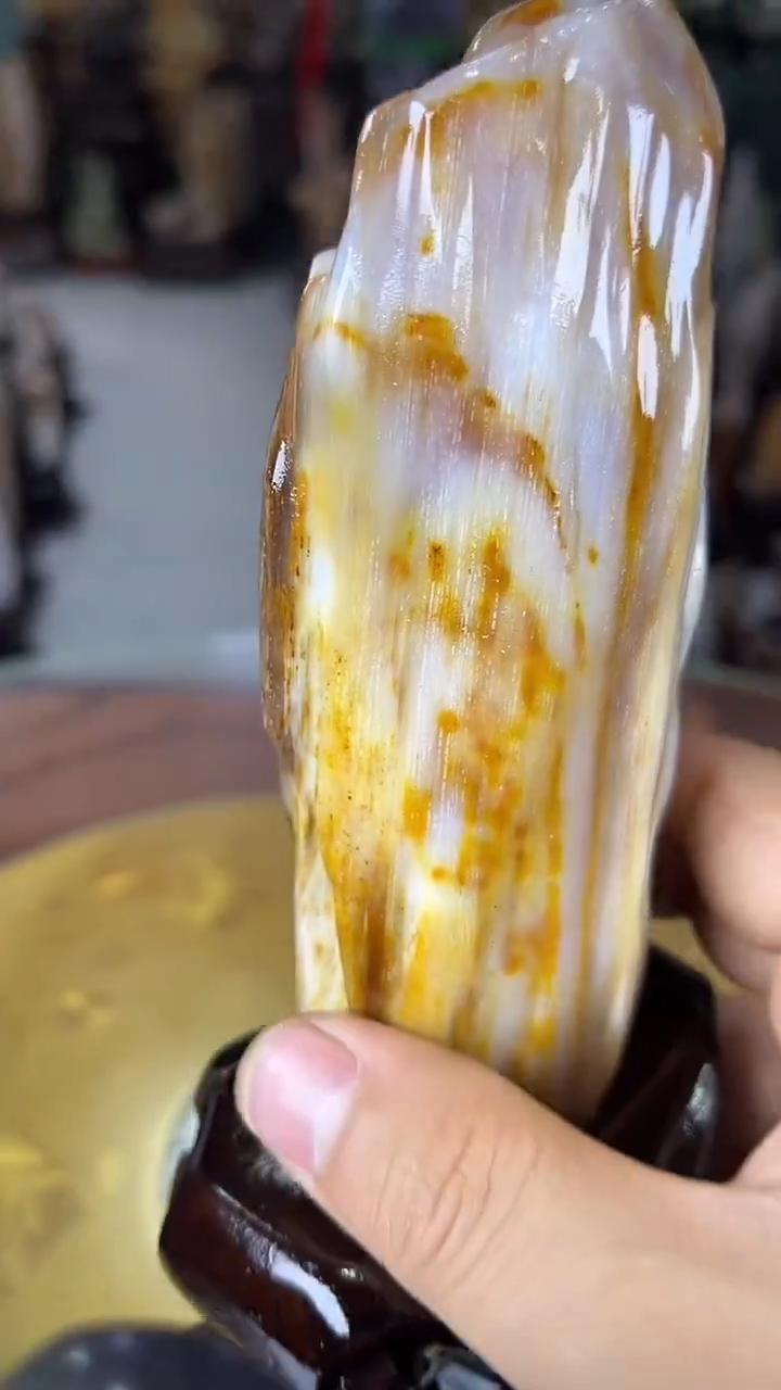 未镶嵌珠宝奇石硅化玉缅甸天然树化玉摆件