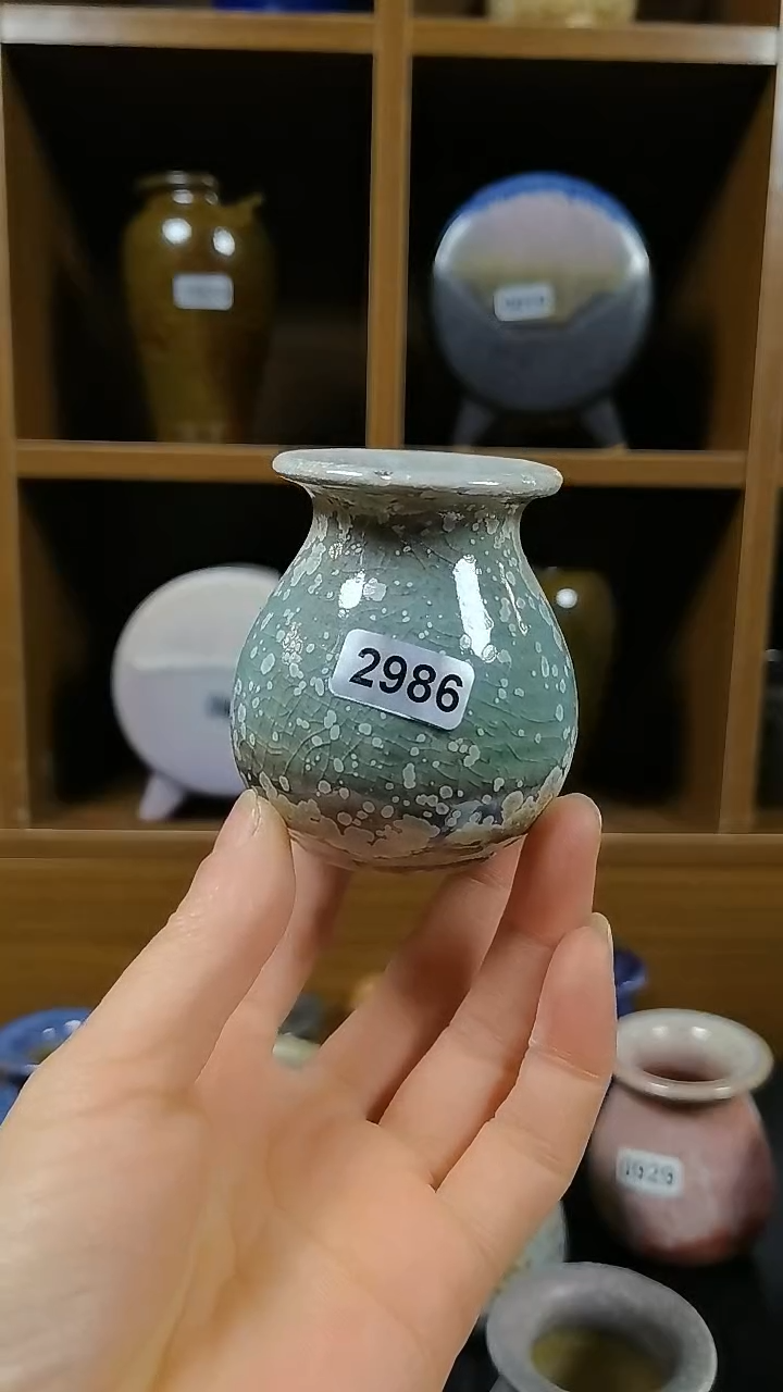 【闪购商品】红陶2986