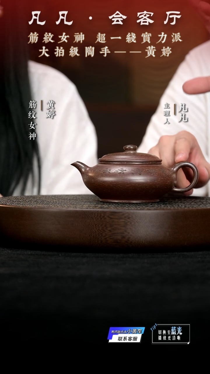 茶壶紫砂JW黄婷28 虚扁天星泥260cc