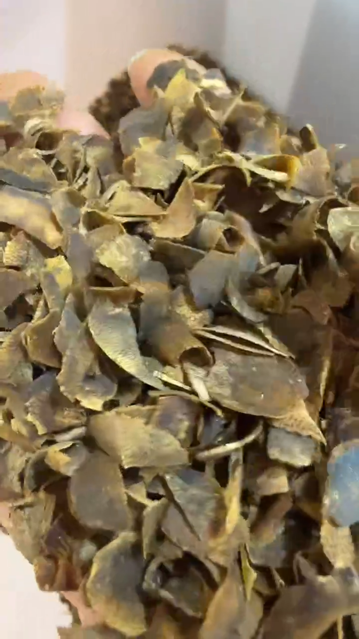 沉香香囊沉香50克多样性发一