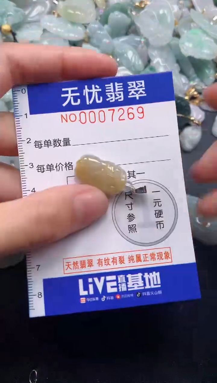 颈饰未镶嵌翡翠7269