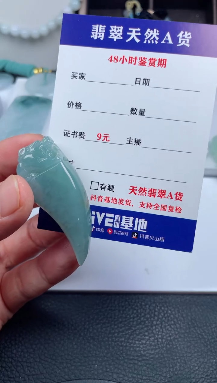 翡翠未镶嵌颈饰         