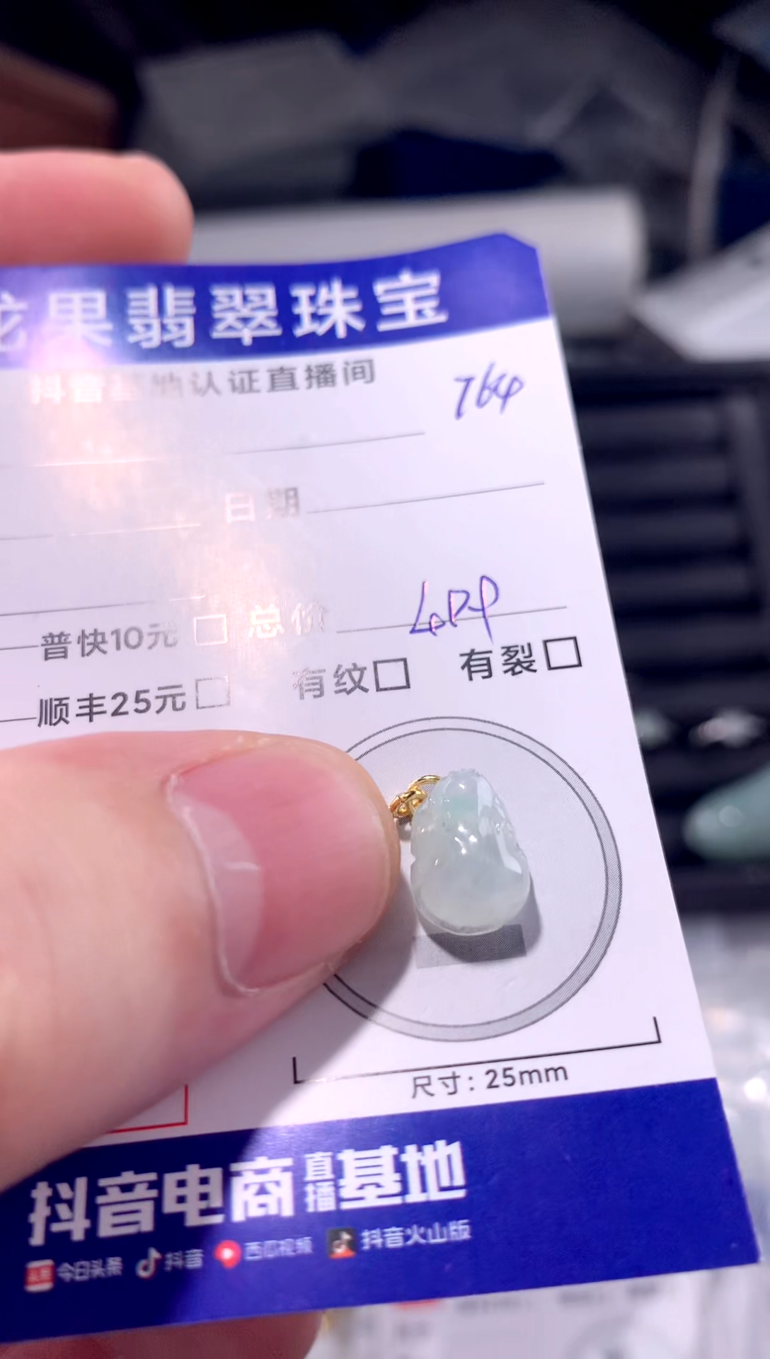 颈饰未镶嵌翡翠貔貅764