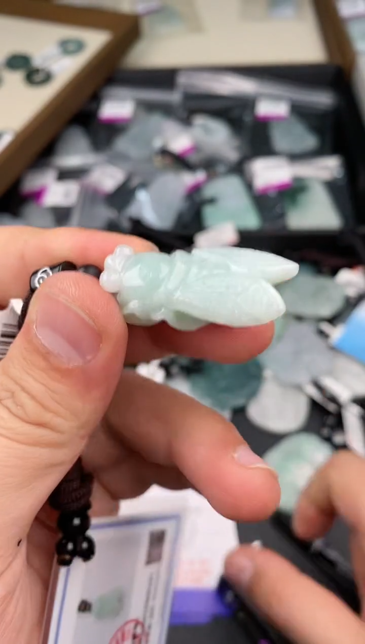 【闪购商品】翡翠颈饰未镶嵌  天然翡翠，一物一图