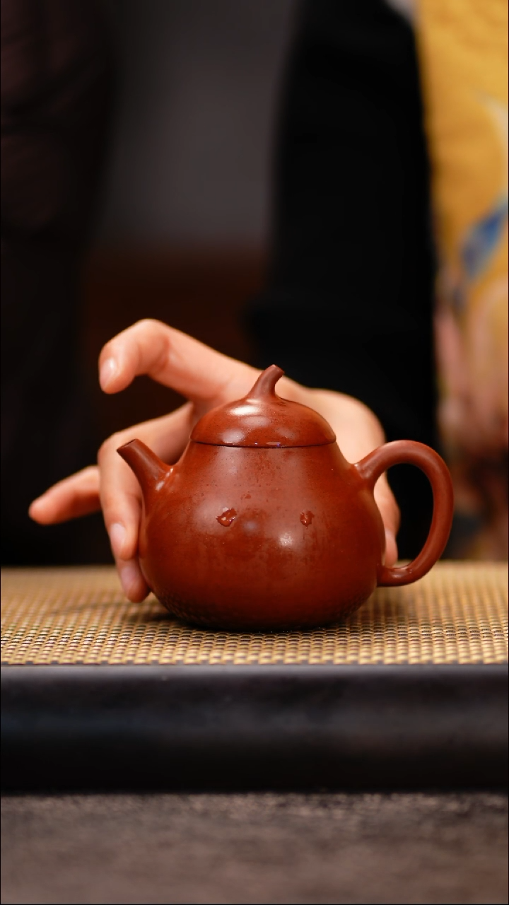 LJY81黑疾星 茄瓜