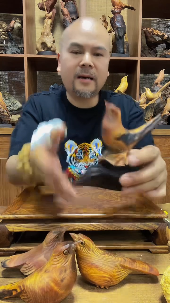 松木 定向 柴茏宸 定向 柴茏宸