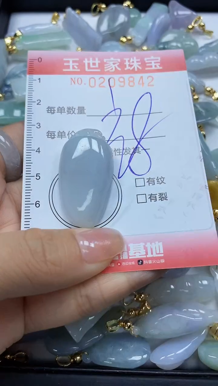 【闪购商品】翡翠颈饰未镶嵌闪购0209842