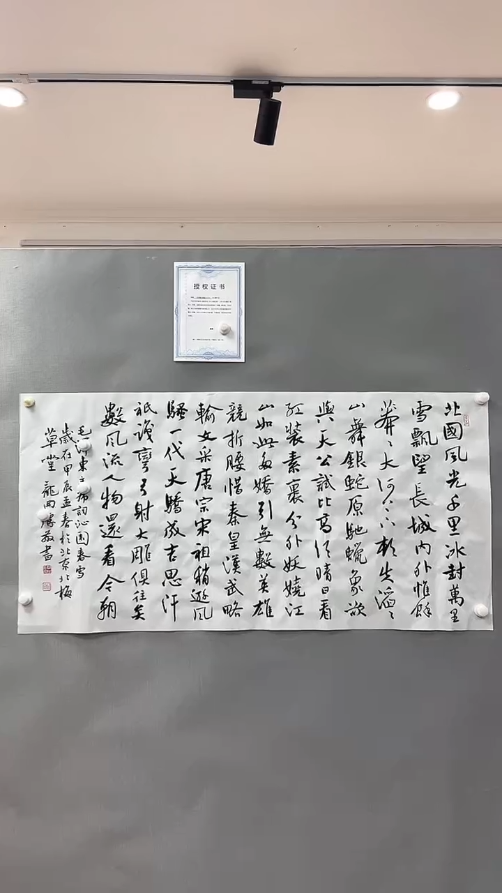 【闪购商品】书法雅艺典藏文化书法