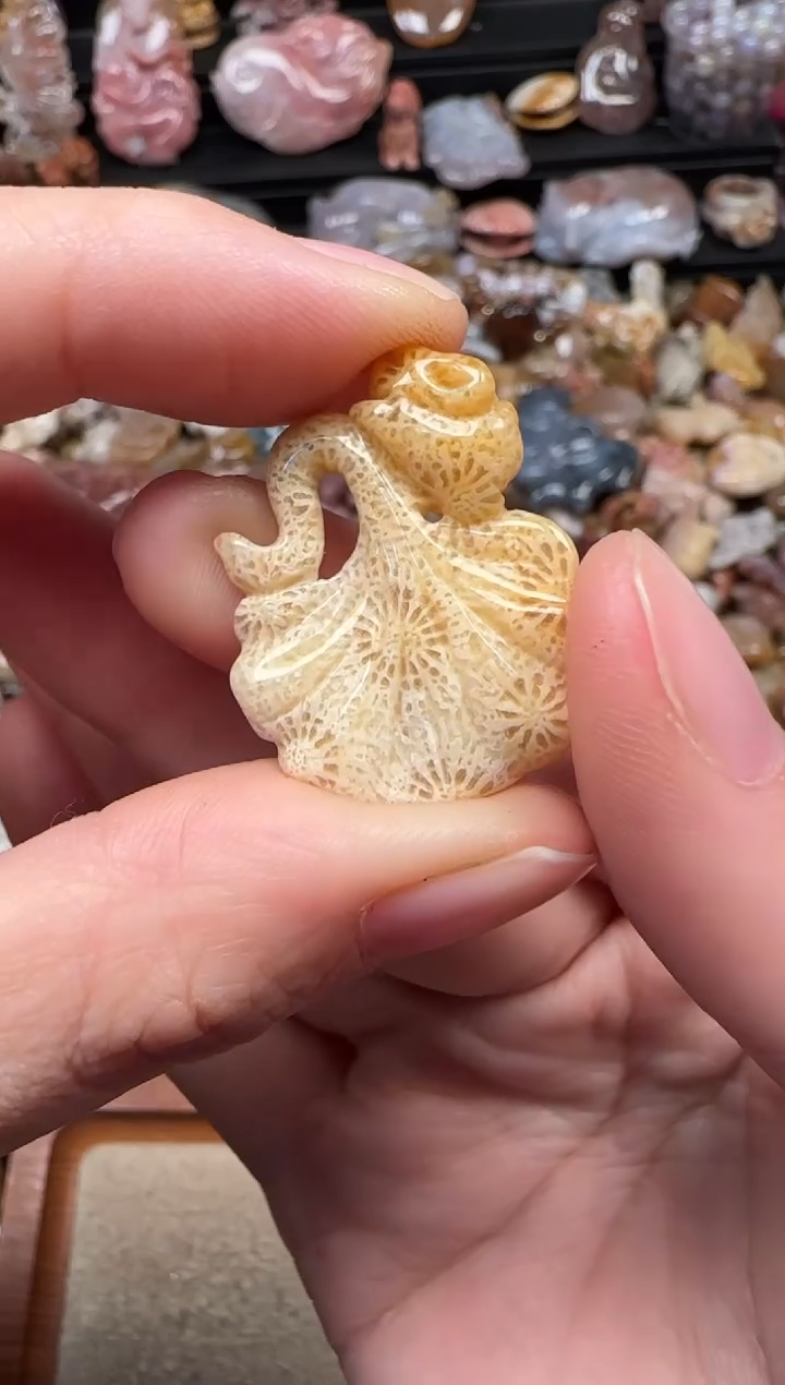 颈饰未镶嵌硅化珊瑚（珊瑚玉）938