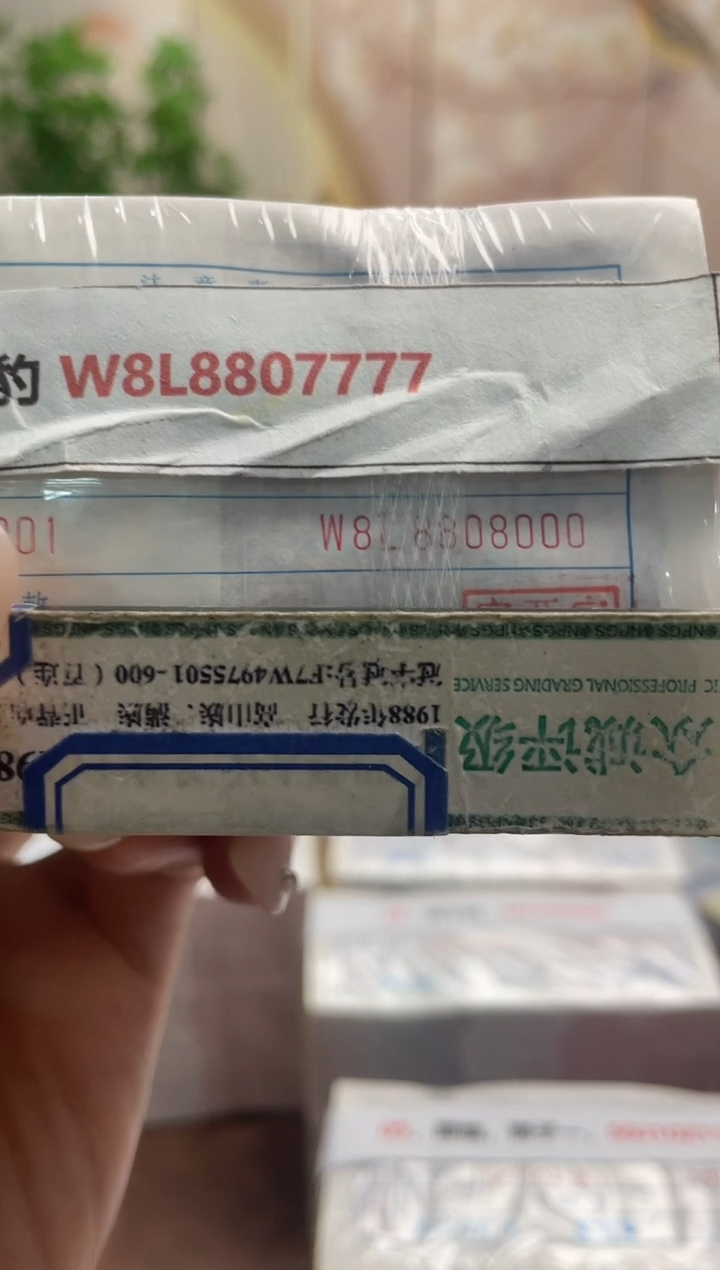 M 05 通天豹 发发发 W8L8807777