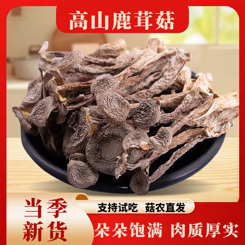 【高山鹿茸菇】头茬新菇（试吃一顿）干货炒菜煲汤鲜香脆嫩自然晾晒