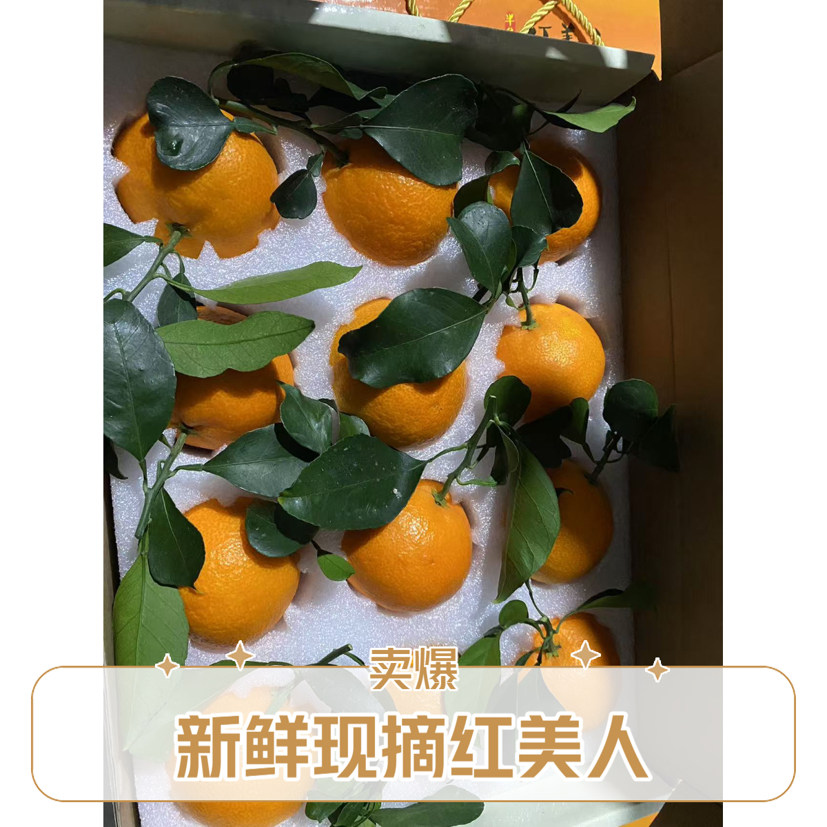 精品红美人 礼盒装送人有牌面 价格实惠