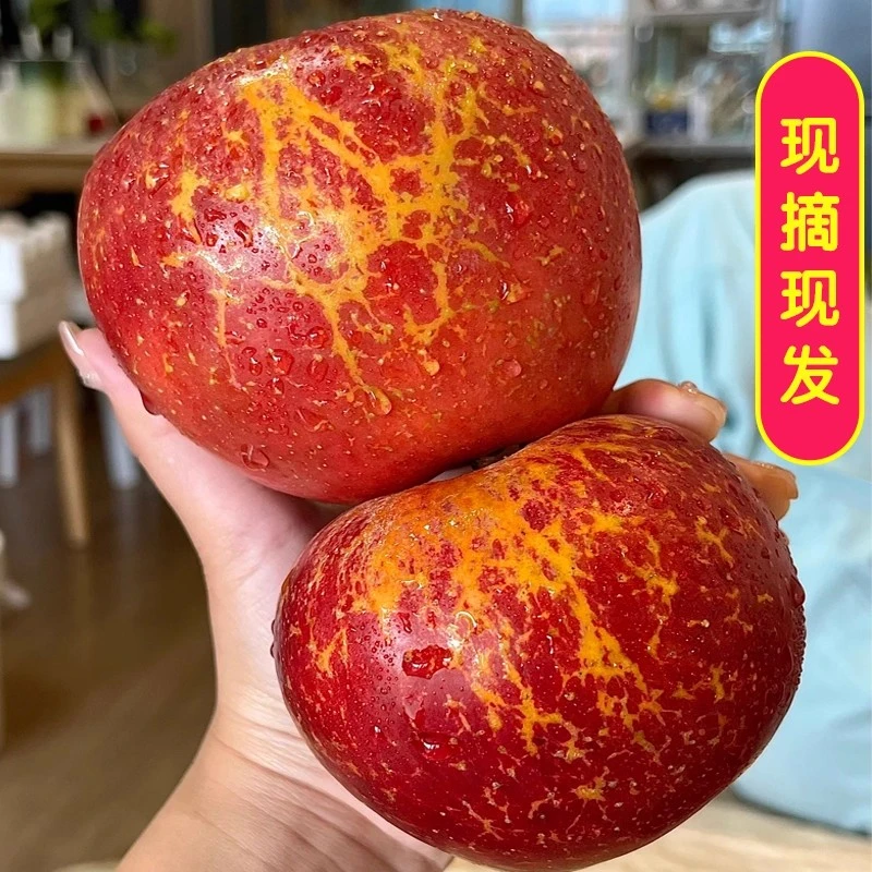 云南昭通冰糖心丑苹果新鲜现摘脆甜多汁当季水果1