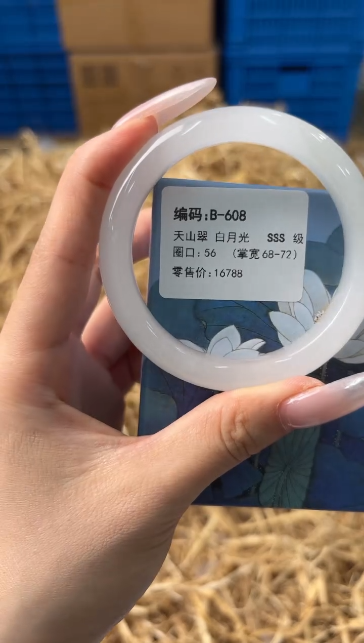 未镶嵌手镯石英质玉B-608