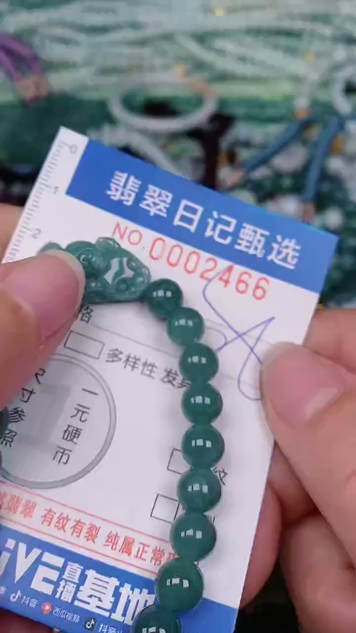 【闪购商品】翡翠颈饰未镶嵌00002466