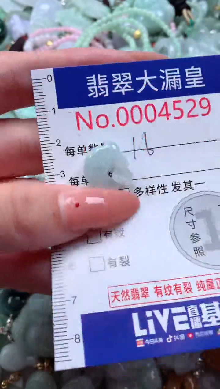 翡翠未镶嵌吊坠(不含链)4529