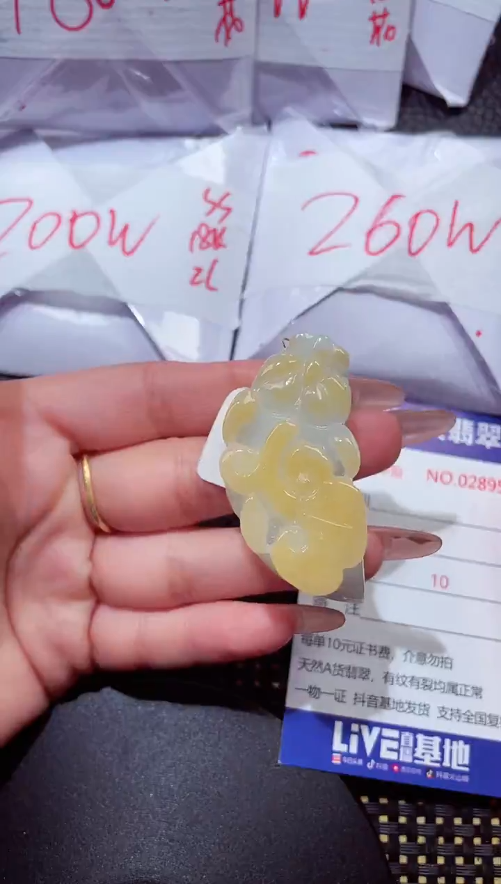 颈饰未镶嵌翡翠407