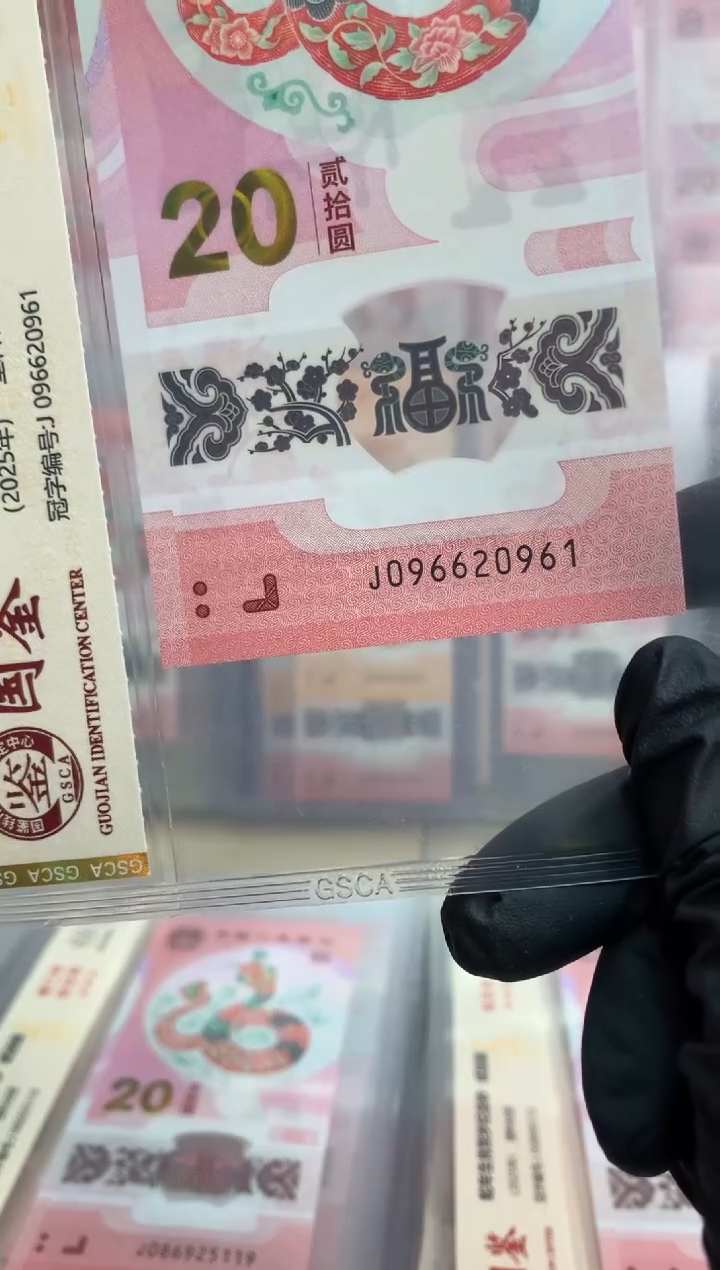 【闪购商品】塑料蛇钞 真钞【单张】20961