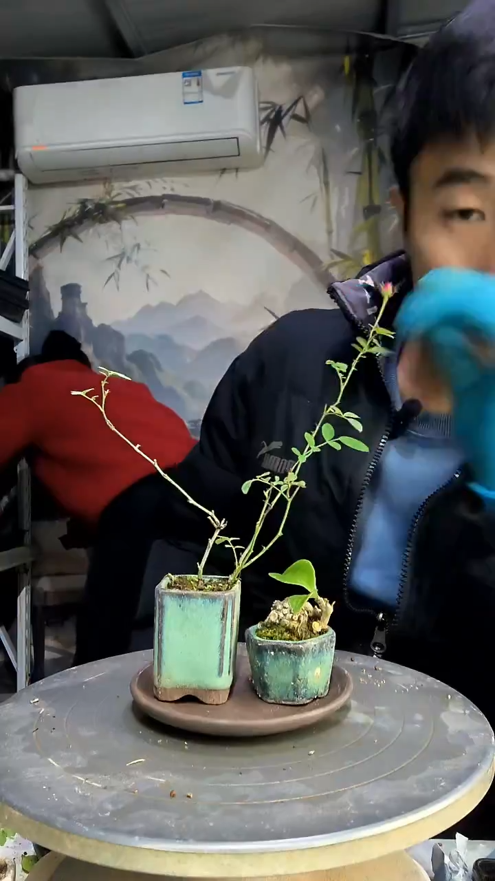 瘦***吧中青园艺一物一拍87