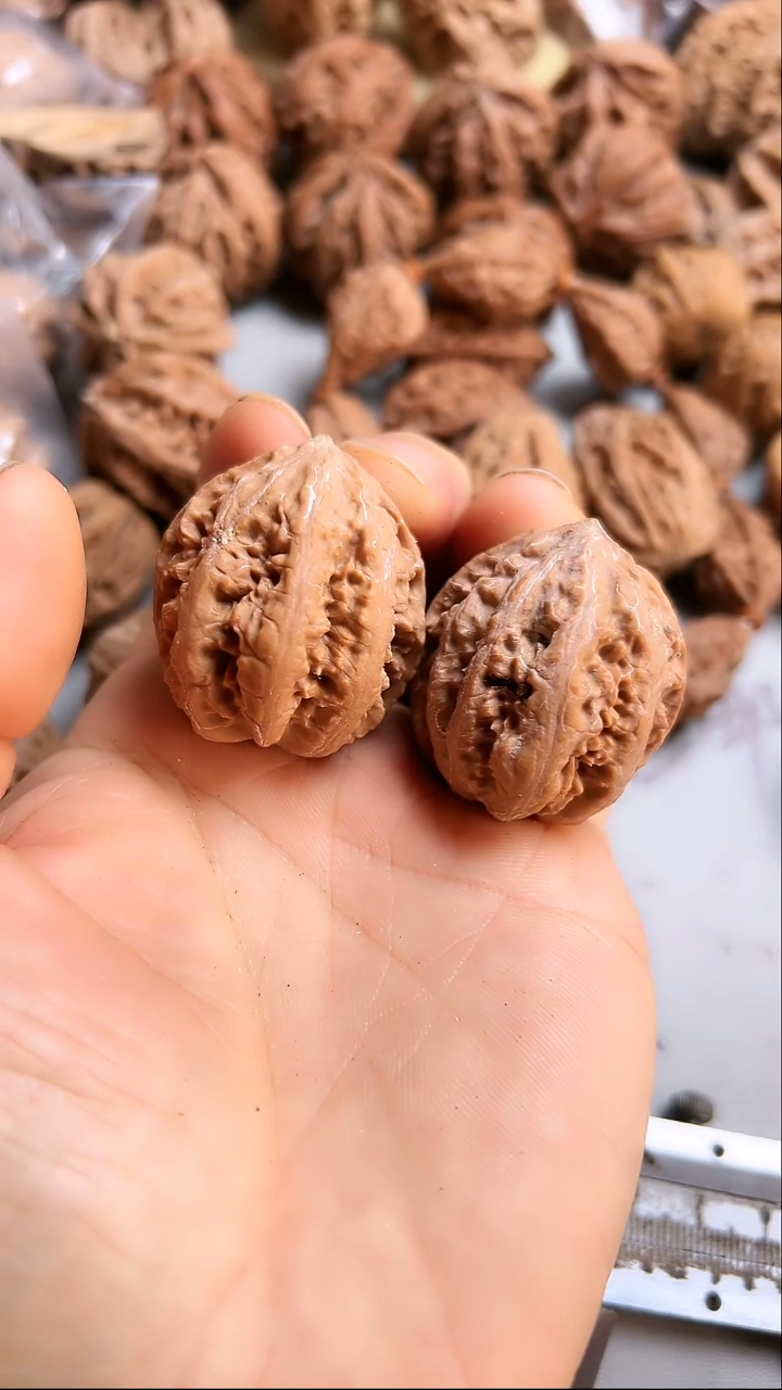 核桃东北野生大秋子8