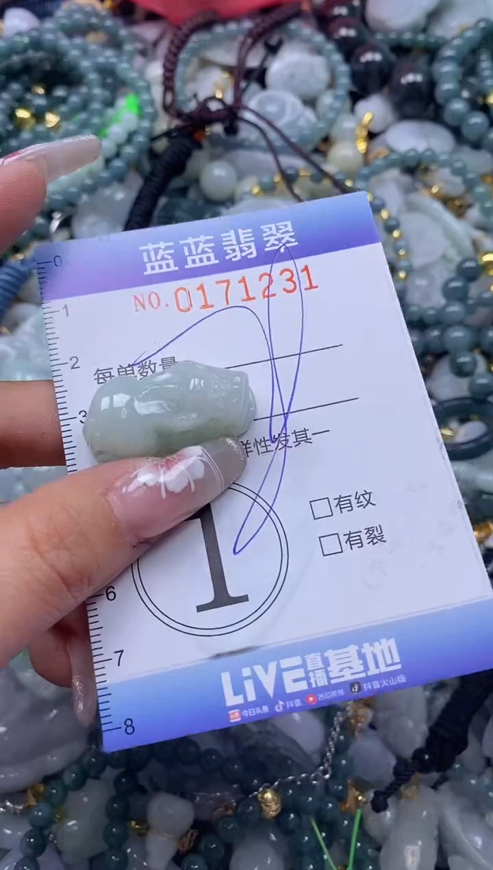 【闪购商品】翡翠颈饰未镶嵌闪购0171231