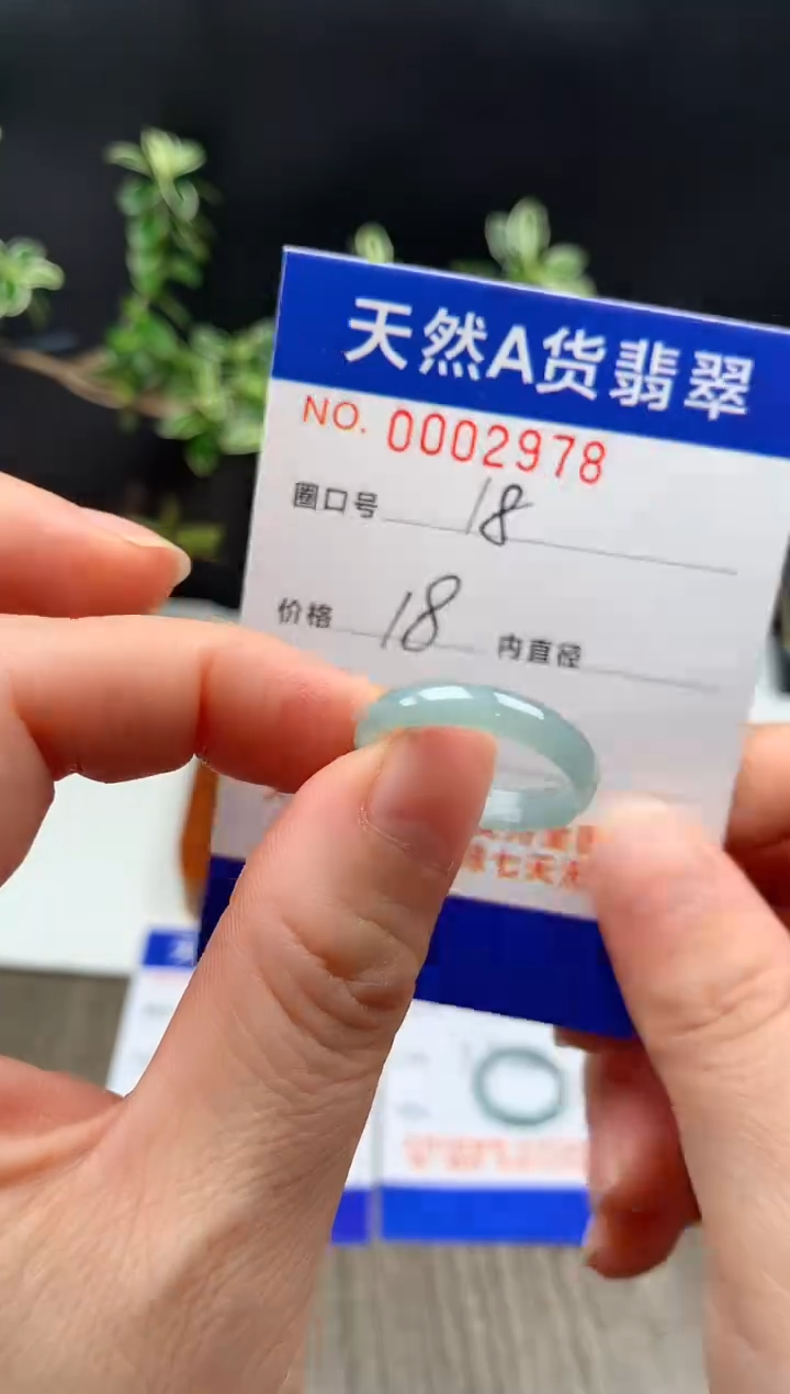 未镶嵌戒指翡翠18#