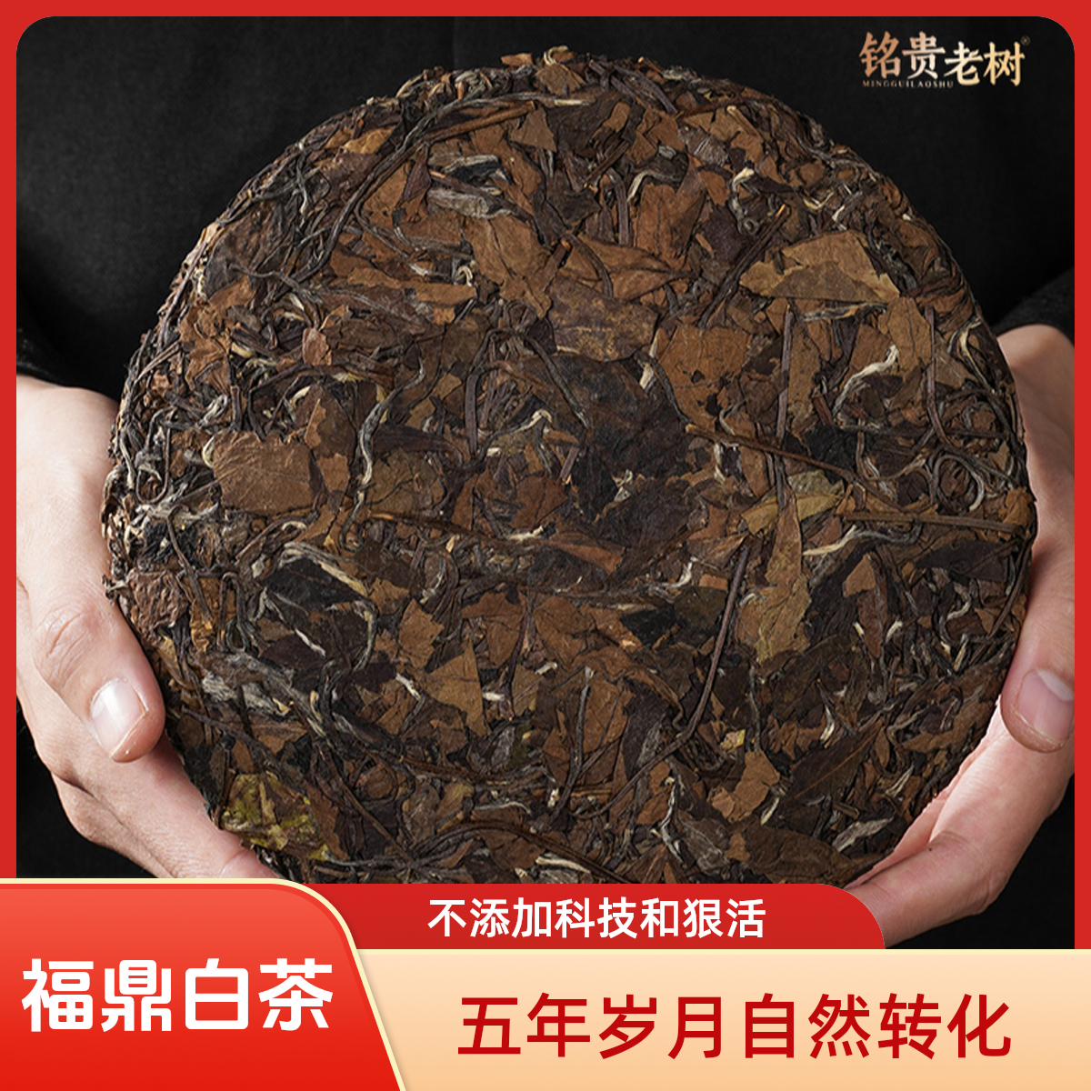 铭贵老树福鼎白茶五年大茶饼高品质自然转化太姥山核心放心好茶