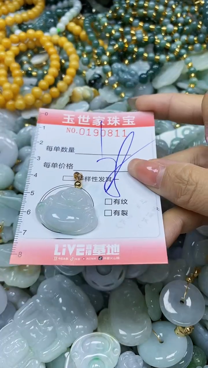 【闪购商品】翡翠颈饰未镶嵌闪购0190811