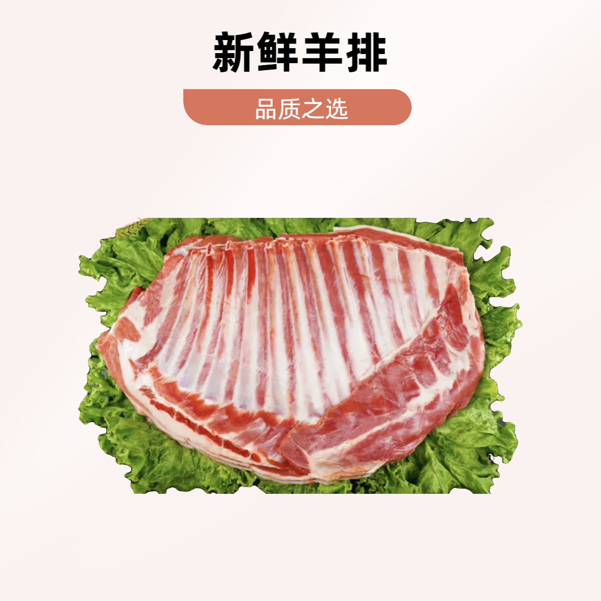 新鲜羊排羔羊肋排