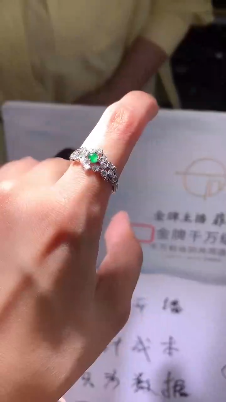 颈饰未镶嵌翡翠A108