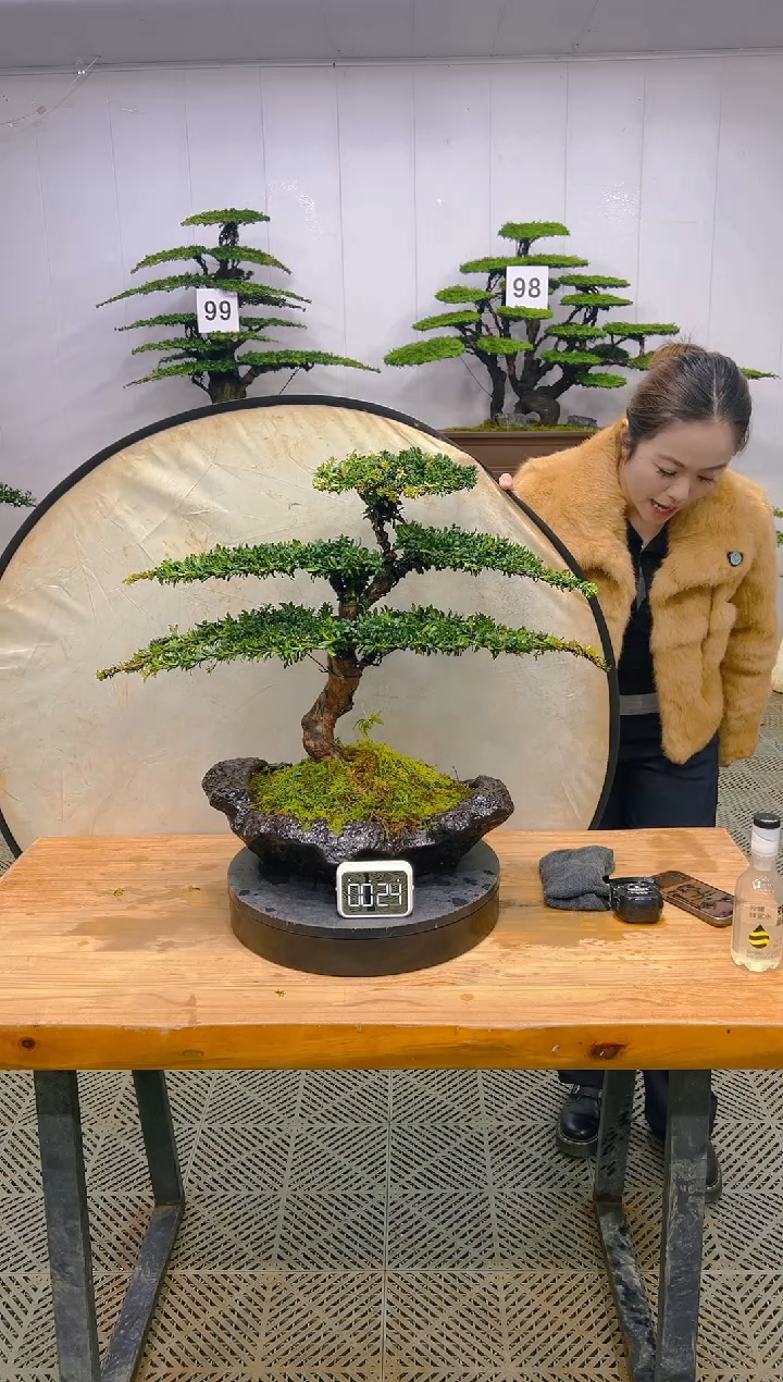 无花朵一物一拍一物一拍