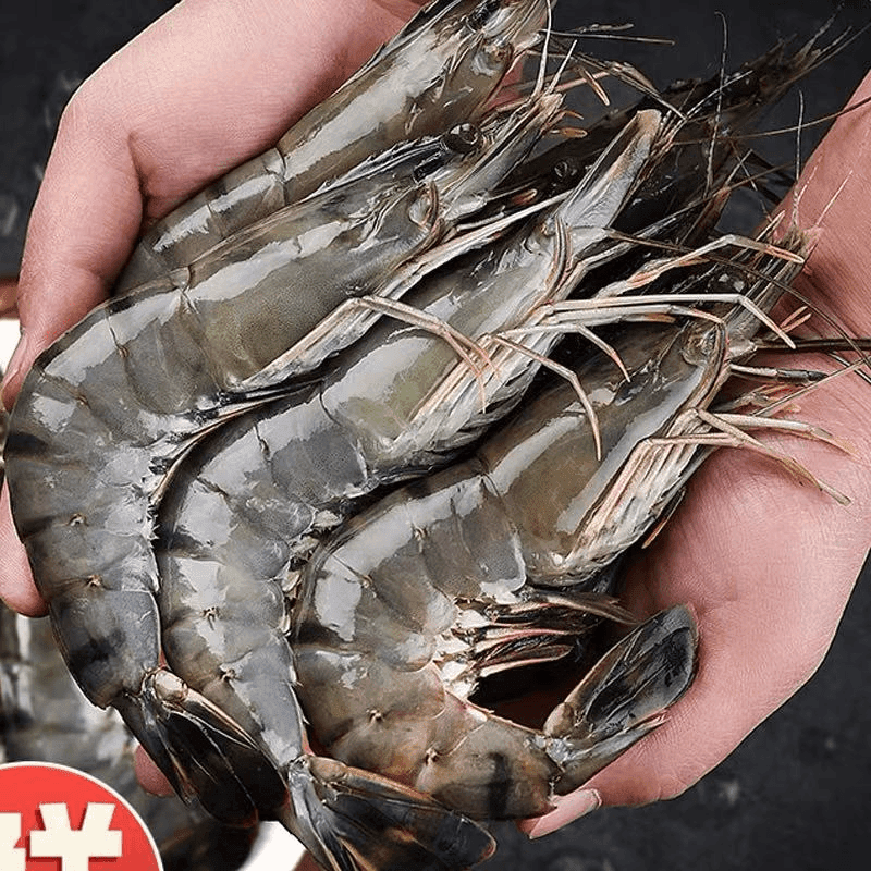 哈喽婷婷 新鲜速冻黑虎虾 老虎虾 16-20规格 25-30只左右/盒