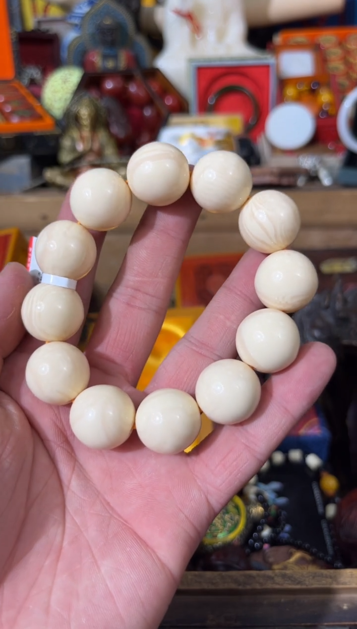 【闪购商品】龙龙龙龙龙龙龙龙