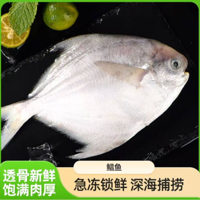 冷冻东海渔场鲳鱼500g/袋*5 大号海捕银鲳鱼白鲳鱼平鱼鲜嫩海鱼
