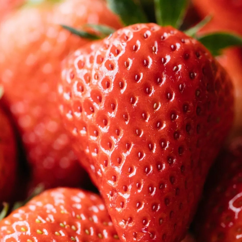 【当季限量】头茬丹东99草莓 15粒/盒香甜爽口 味蕾盛宴 宝宝超爱 包邮