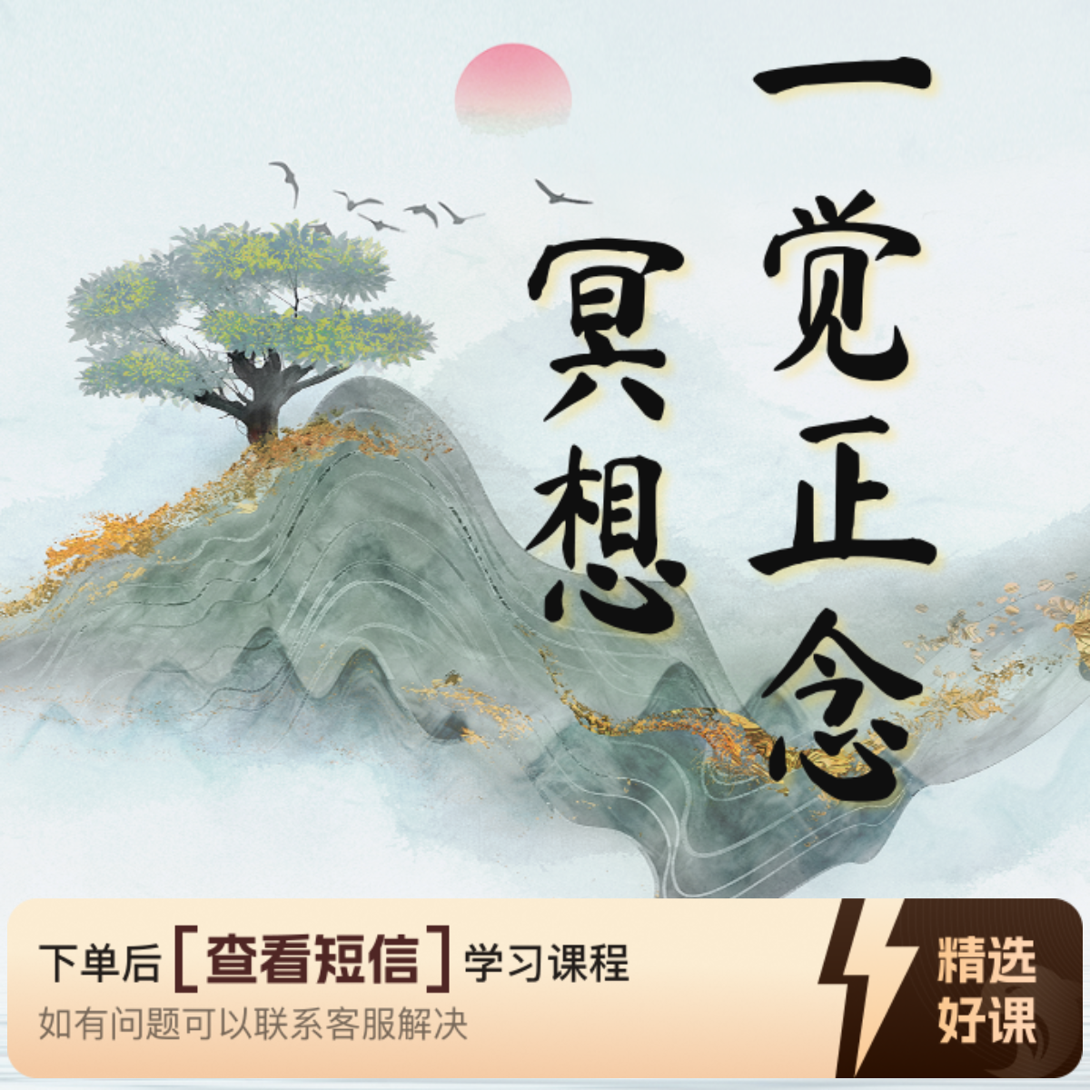 正念冥想+知识服务读书卡课程（留意短信解锁课程）