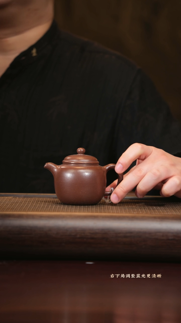 【闪购商品】紫砂茶壶0520001798 匏尊 紫泥 160