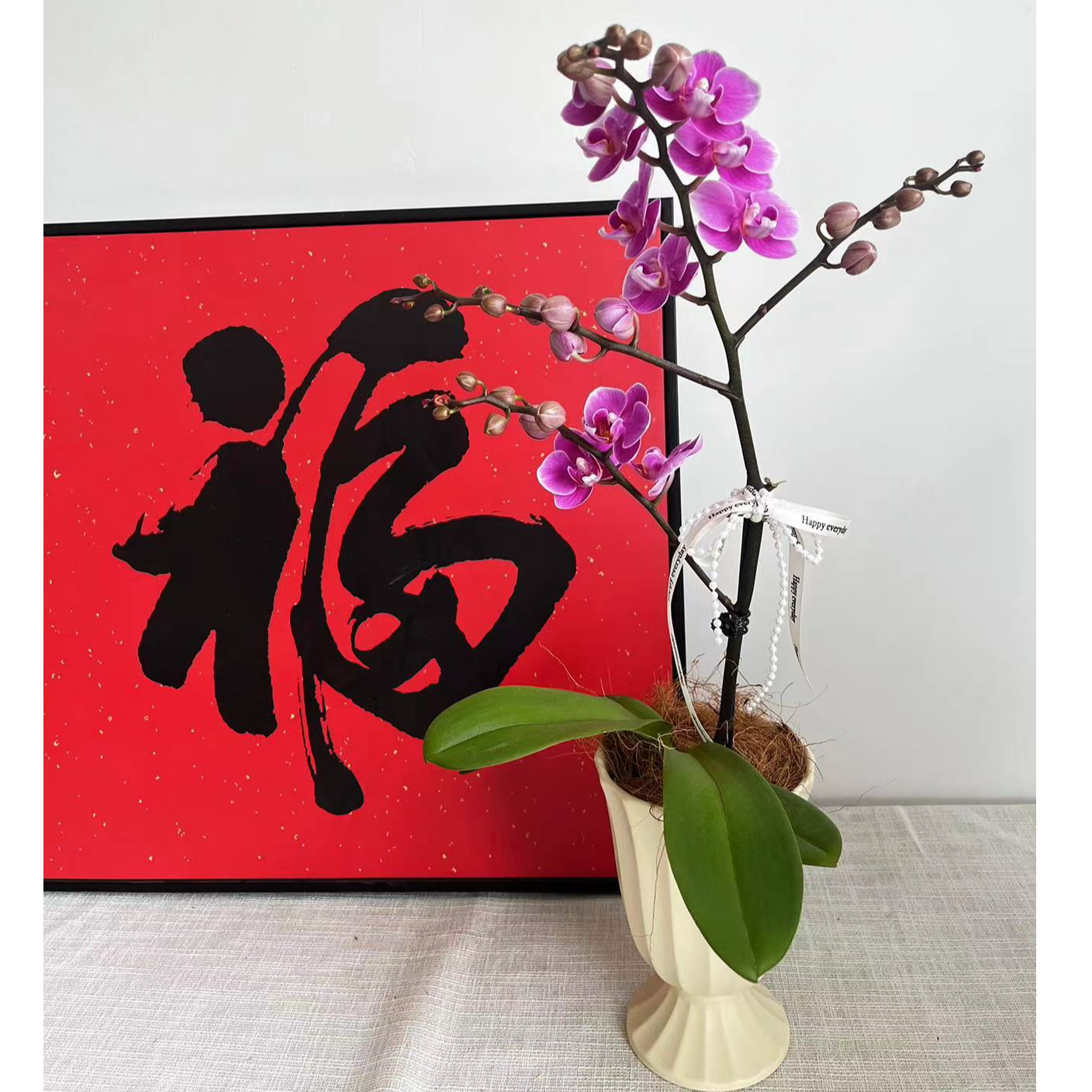 【小阿阮】A级L29蝴蝶兰盆栽·花期长桌面装饰摆件云南顺丰直发