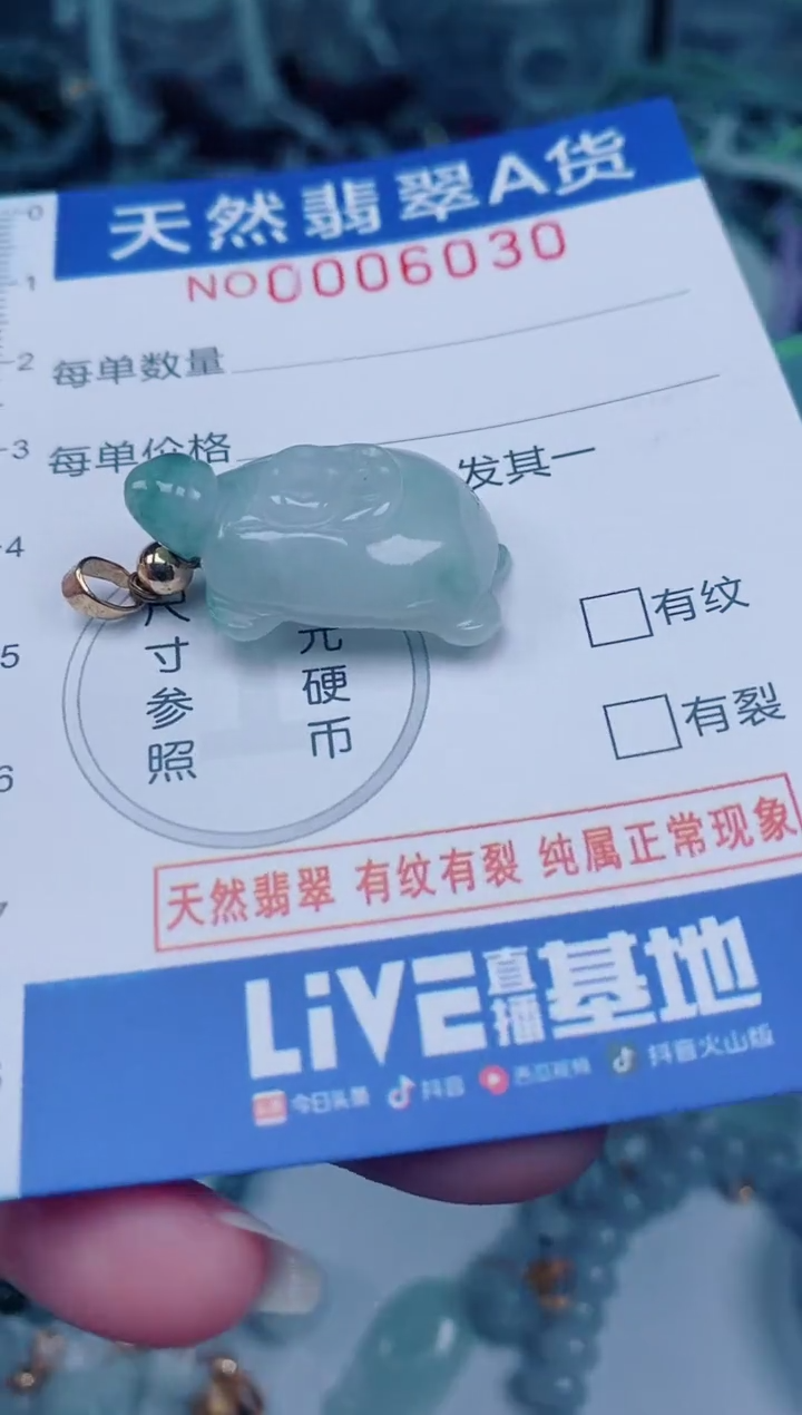 颈饰未镶嵌翡翠00006030