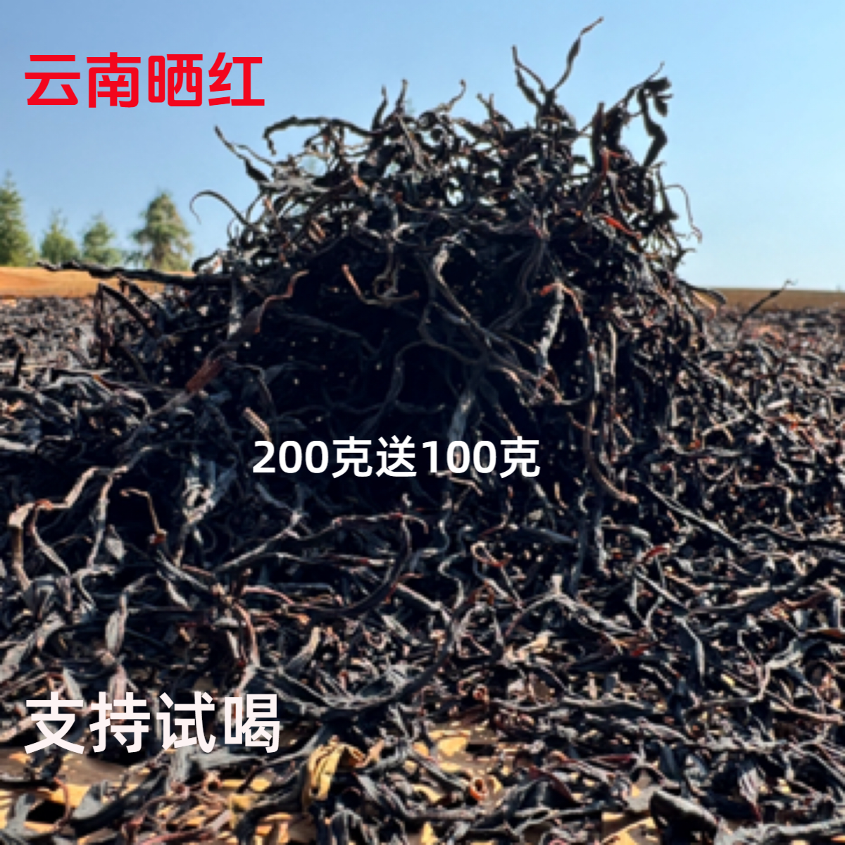 2025年茶树五百年【秘境晒红纯料】云南红茶滇红茶果香浓郁甜度高雅