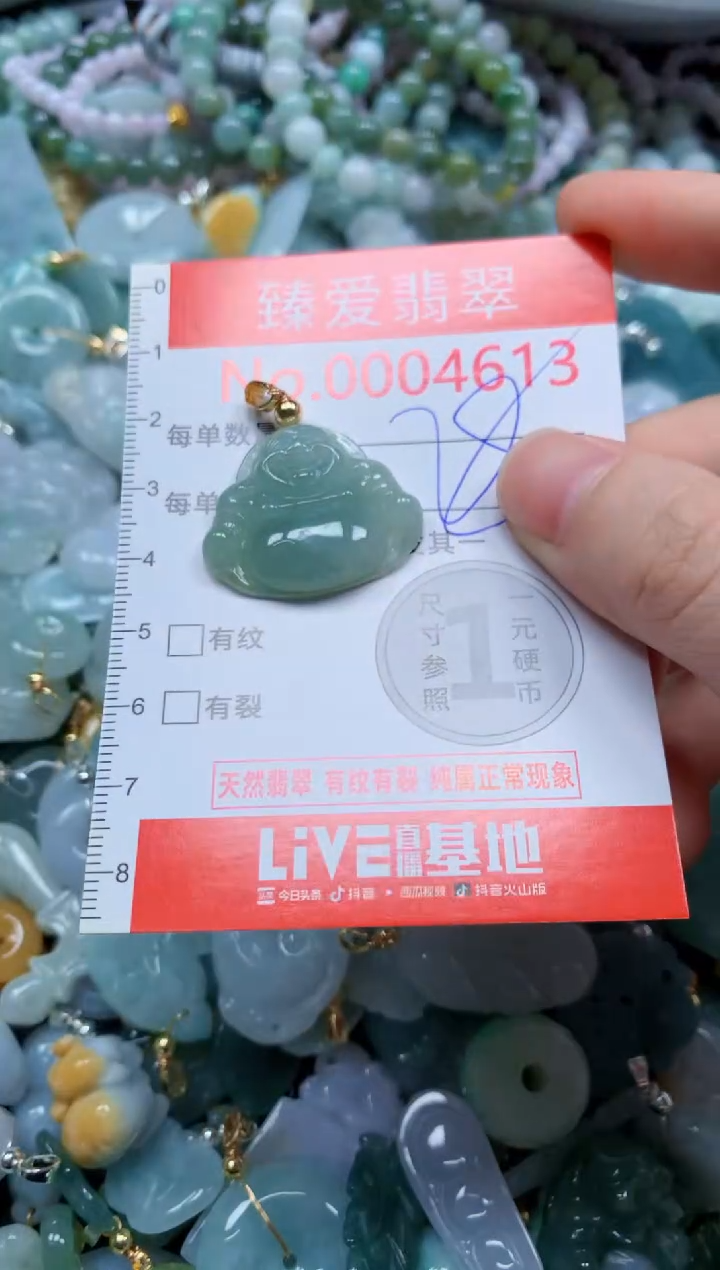 翡翠未镶嵌吊坠(不含链)4613
