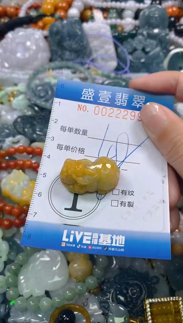 颈饰未镶嵌翡翠闪购0022299