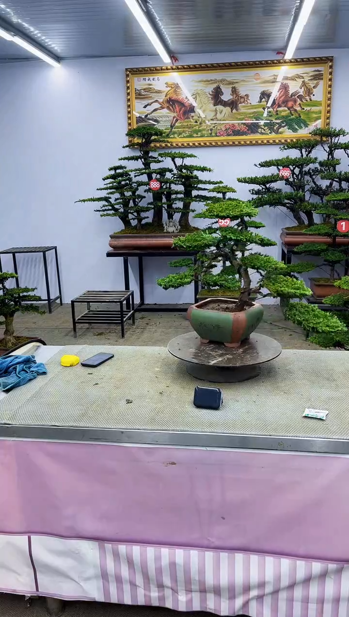 啊啊啊啊啊啊啊啊啊啊啊