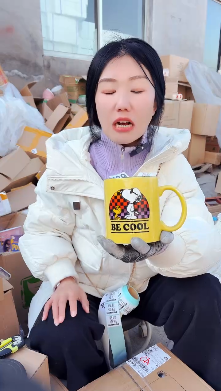 【闪购商品】炻瓷无盖款489【微瑕慎拍】