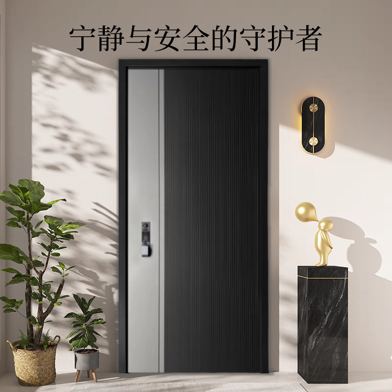 德家福T038新款双拼色发泡防盗门入户门新国标4级安全隔音密封