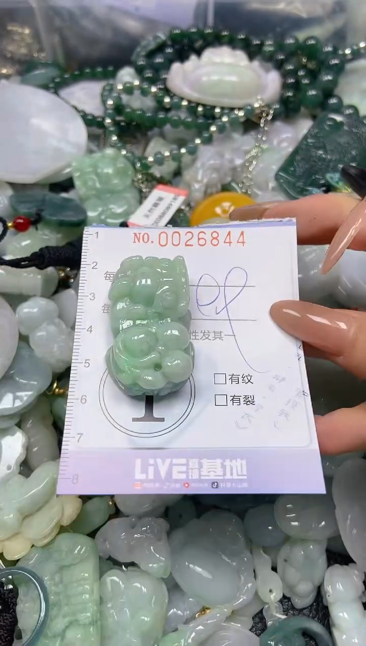 【闪购商品】翡翠颈饰未镶嵌闪购0026844