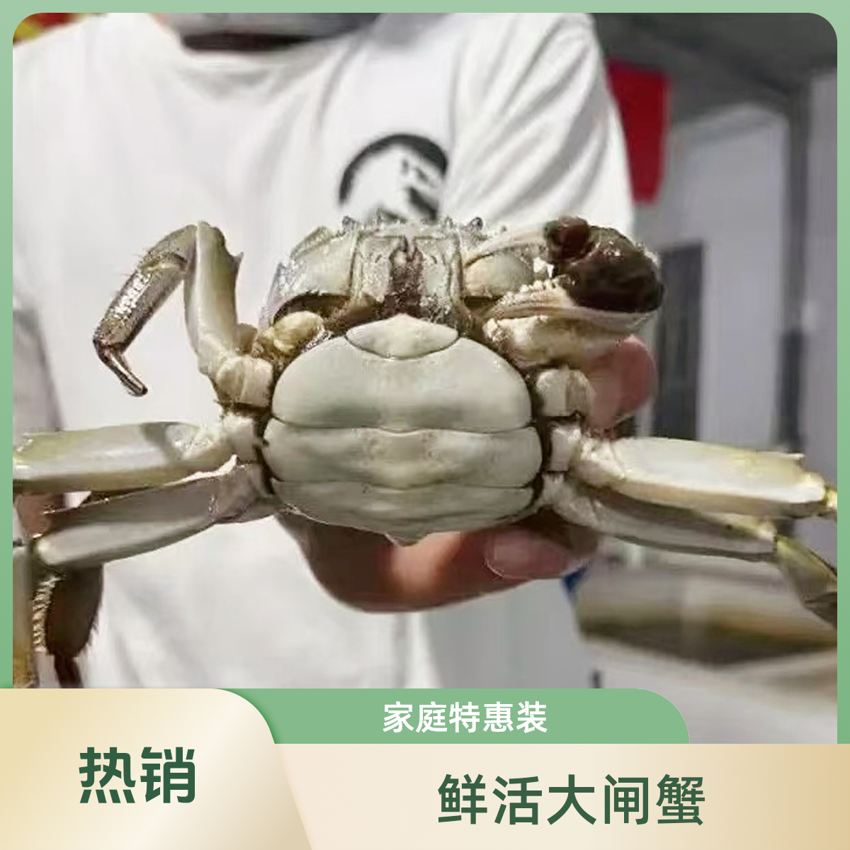 家庭特惠版少蟹脚!  鲜活大闸蟹 2-4两公母规格任选 单只装