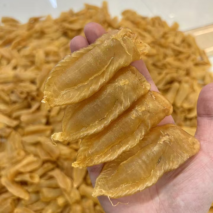 白花胶  鱼胶 花胶