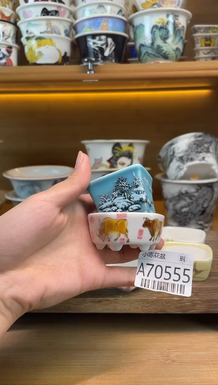 吴****家瑕【A70555】一组