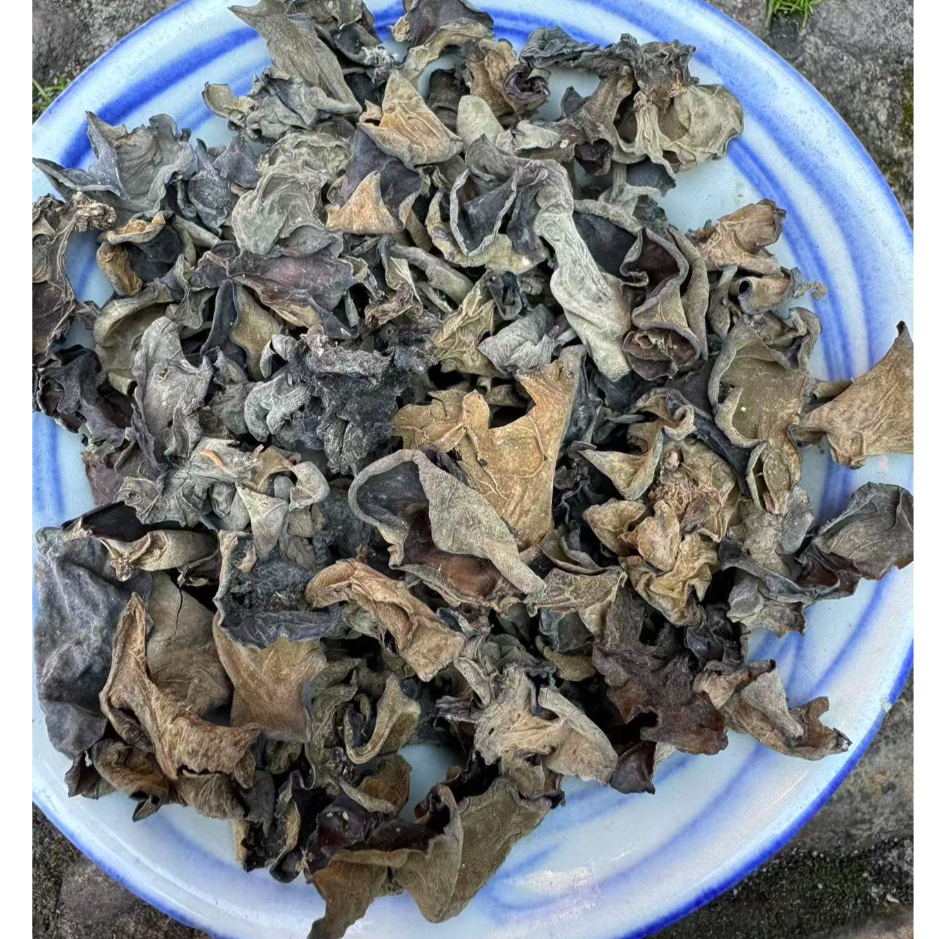 【小建 专属】高山 农家 野木耳